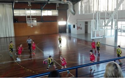 MINI GROC: FASES DE NIVELL CATEGORIA MINI (2A FASE)