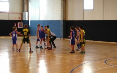 MINI GROC – CN TARREGA BLAU (70-81)