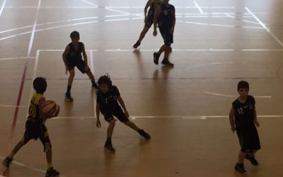 CERVERA – MINI GROC (60-75)