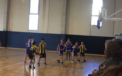 MINI GROC – TARREGA BLAU (60-79)