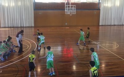 MINI GROC -BINEFAR (51-32)