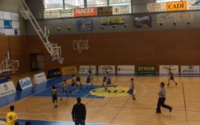 SEDIS – MINI GROC (51-35)