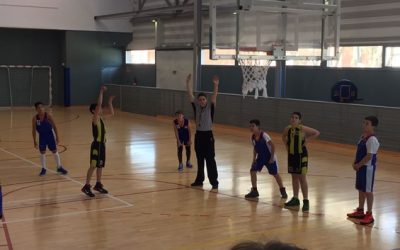 TARREGA BLAU – MINI GROC (85-69)