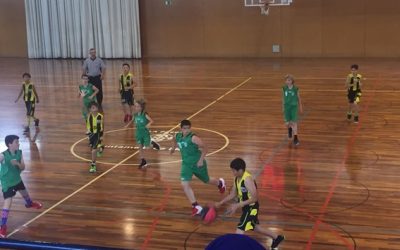 MINI GROC – CERVERA (43-70)