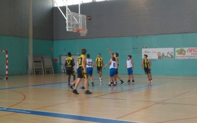 CB Torrefarrera 13-64 Ilerdauto Nissan Pardinyes Cadet Negre Lleida