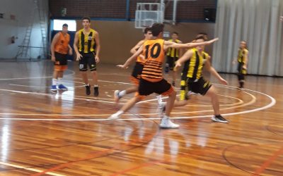 ILERDAUTO NISSAN PARDINYES LLEIDA JUNIOR GROC  42– 46 BARBERIA ALBERT C.B.BELLPUIG