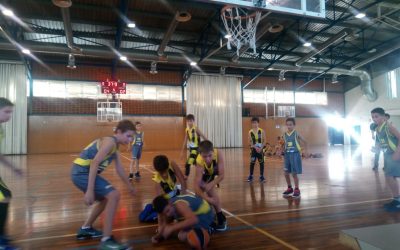 LERDAUTO NISSAN PARDINYES MINI GROC 84–34 ROCA BORRAS-CAPPONT GROC